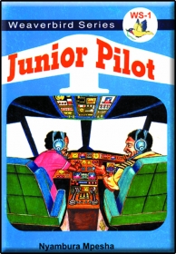  Junior Pilot