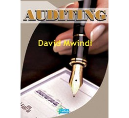  Auditing