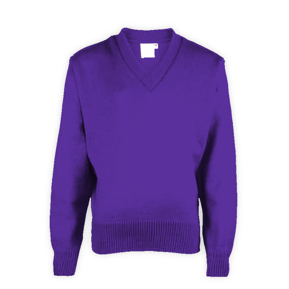 Purple Plain School Sweaters