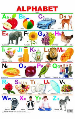 Alphabet Chart Laminated DL